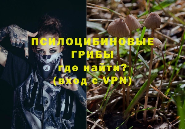 каннабис Зерноград