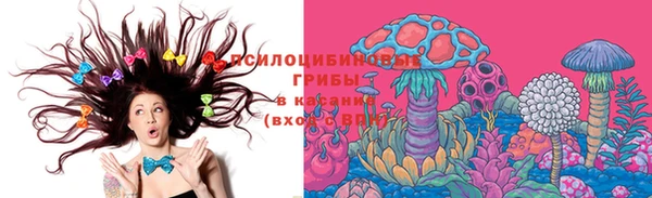 PSILOCYBIN Зеленодольск