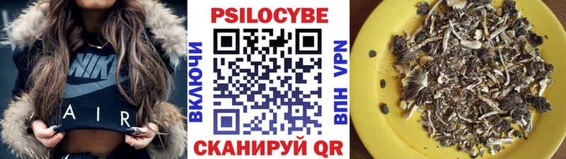 Купить Задонск Псилоцибиновые грибы Cubensis